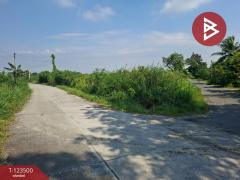 ขายที่ดิน เนื้อที่ 1 งาน 53 ตร.วา พานทอง ชลบุรี-202510051653311759658011043.jpg