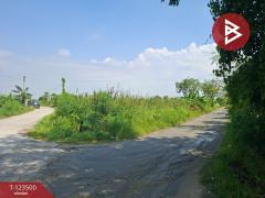 ขายที่ดิน เนื้อที่ 1 งาน 53 ตร.วา พานทอง ชลบุรี-202510051653311759658011557.jpg