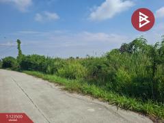 ขายที่ดิน เนื้อที่ 1 งาน 53 ตร.วา พานทอง ชลบุรี-202510051653321759658012068.jpg