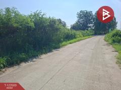 ขายที่ดิน เนื้อที่ 1 งาน 53 ตร.วา พานทอง ชลบุรี-202510051653321759658012585.jpg