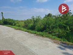 ขายที่ดิน เนื้อที่ 1 งาน 53 ตร.วา พานทอง ชลบุรี-202510051653331759658013098.jpg