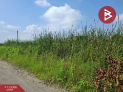 ขายที่ดิน เนื้อที่ 1 งาน 53 ตร.วา พานทอง ชลบุรี-202510051653331759658013612.jpg