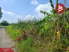 ขายที่ดิน เนื้อที่ 1 งาน 53 ตร.วา พานทอง ชลบุรี-202510051653341759658014126.jpg