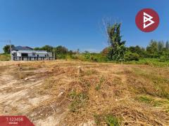 ขายที่ดิน-เนื้อที่-1-งาน-26.7-ตร.วา-ท่าช้