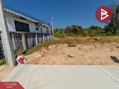 ขายที่ดิน เนื้อที่ 1 งาน 26.7 ตร.วา ท่าช้าง จันทบุรี-202510051718341759659514092.jpg