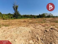 ขายที่ดิน เนื้อที่ 1 งาน 26.7 ตร.วา ท่าช้าง จันทบุรี-202510051718341759659514603.jpg