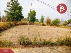 ขายที่ดิน เนื้อที่ 4 ไร่ 3 งาน 55 ตร.วา โพธิ์ชัย หนองบัวลำภู