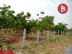 ขายที่ดิน เนื้อที่ 4 ไร่ 3 งาน 55 ตร.วา โพธิ์ชัย หนองบัวลำภู-202510051730581759660258949.jpg