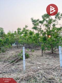 ขายที่ดิน เนื้อที่ 4 ไร่ 3 งาน 55 ตร.วา โพธิ์ชัย หนองบัวลำภู-202510051730591759660259466.jpg