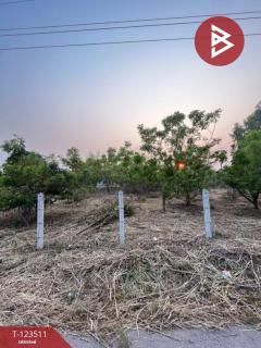 ขายที่ดิน เนื้อที่ 4 ไร่ 3 งาน 55 ตร.วา โพธิ์ชัย หนองบัวลำภู-202510051730591759660259975.jpg