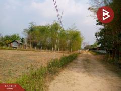 ขายที่ดิน เนื้อที่ 4 ไร่ 3 งาน 55 ตร.วา โพธิ์ชัย หนองบัวลำภู-202510051731001759660260484.jpg