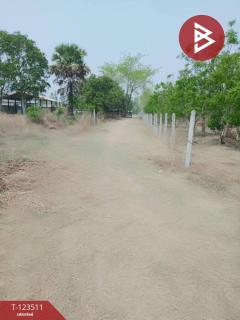 ขายที่ดิน เนื้อที่ 4 ไร่ 3 งาน 55 ตร.วา โพธิ์ชัย หนองบัวลำภู-202510051731011759660261502.jpg