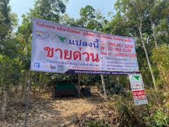 ขายที่ดินสวนยาง ขนาด 40-1-39 ไร่ กรีดขายได้แล้ว ทำเลดี วิวแม่น้ำโขง - จังหวัดหนองคาย