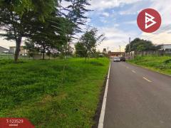 ขายที่ดิน เนื้อที่ 1 งาน 92 ตร.วา ท่าช้าง จันทบุรี-202510061029201759721360240.jpg