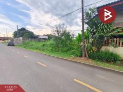 ขายที่ดิน เนื้อที่ 1 งาน 92 ตร.วา ท่าช้าง จันทบุรี-202510061029201759721360771.jpg