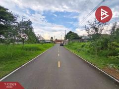 ขายที่ดิน เนื้อที่ 1 งาน 92 ตร.วา ท่าช้าง จันทบุรี-202510061029211759721361316.jpg