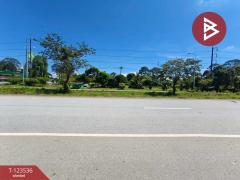  ขายที่ดิน เนื้อที่ 4 ไร่ 2 งาน 56.7ตร.วา ขลุง จันทบุรี