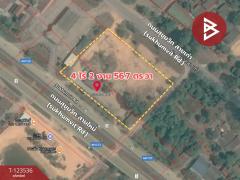  ขายที่ดิน เนื้อที่ 4 ไร่ 2 งาน 56.7ตร.วา ขลุง จันทบุรี-202510061050411759722641098.jpg