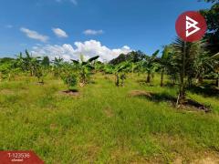  ขายที่ดิน เนื้อที่ 4 ไร่ 2 งาน 56.7ตร.วา ขลุง จันทบุรี-202510061050411759722641635.jpg