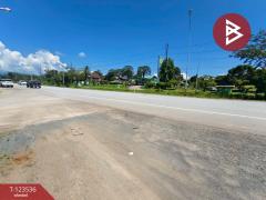  ขายที่ดิน เนื้อที่ 4 ไร่ 2 งาน 56.7ตร.วา ขลุง จันทบุรี-202510061050421759722642167.jpg