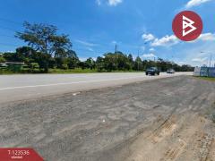  ขายที่ดิน เนื้อที่ 4 ไร่ 2 งาน 56.7ตร.วา ขลุง จันทบุรี-202510061050421759722642705.jpg