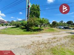  ขายที่ดิน เนื้อที่ 4 ไร่ 2 งาน 56.7ตร.วา ขลุง จันทบุรี-202510061050431759722643237.jpg