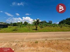  ขายที่ดิน เนื้อที่ 4 ไร่ 2 งาน 56.7ตร.วา ขลุง จันทบุรี-202510061050431759722643783.jpg