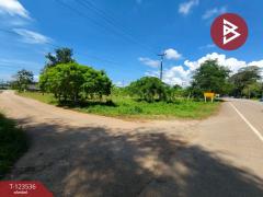  ขายที่ดิน เนื้อที่ 4 ไร่ 2 งาน 56.7ตร.วา ขลุง จันทบุรี-202510061050441759722644322.jpg