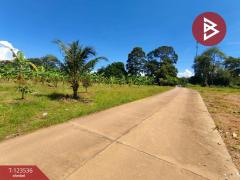  ขายที่ดิน เนื้อที่ 4 ไร่ 2 งาน 56.7ตร.วา ขลุง จันทบุรี-202510061050441759722644847.jpg