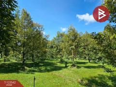 ขายที่ดินพร้อมสวน เนื้อที่ 4 ไร่ 3 งาน 69.4 ตร.วา ท่าใหม่ จันทบุรี