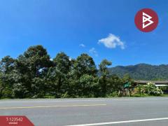 ขายที่ดินพร้อมสวน เนื้อที่ 4 ไร่ 3 งาน 69.4 ตร.วา ท่าใหม่ จันทบุรี-202510061129161759724956844.jpg