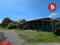 ขายที่ดินพร้อมสวน เนื้อที่ 4 ไร่ 3 งาน 69.4 ตร.วา ท่าใหม่ จันทบุรี-202510061129171759724957530.jpg