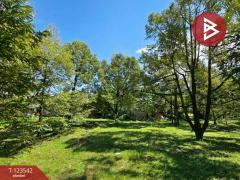 ขายที่ดินพร้อมสวน เนื้อที่ 4 ไร่ 3 งาน 69.4 ตร.วา ท่าใหม่ จันทบุรี-202510061129181759724958078.jpg