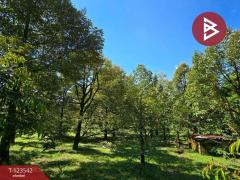 ขายที่ดินพร้อมสวน เนื้อที่ 4 ไร่ 3 งาน 69.4 ตร.วา ท่าใหม่ จันทบุรี-202510061129181759724958638.jpg