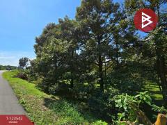 ขายที่ดินพร้อมสวน เนื้อที่ 4 ไร่ 3 งาน 69.4 ตร.วา ท่าใหม่ จันทบุรี-202510061129191759724959193.jpg