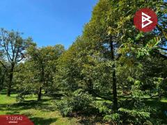 ขายที่ดินพร้อมสวน เนื้อที่ 4 ไร่ 3 งาน 69.4 ตร.วา ท่าใหม่ จันทบุรี-202510061129191759724959753.jpg