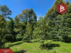 ขายที่ดินพร้อมสวน เนื้อที่ 4 ไร่ 3 งาน 69.4 ตร.วา ท่าใหม่ จันทบุรี-202510061129201759724960877.jpg