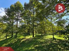 ขายที่ดินพร้อมสวน เนื้อที่ 4 ไร่ 3 งาน 69.4 ตร.วา ท่าใหม่ จันทบุรี-202510061129211759724961443.jpg