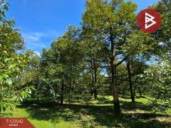 ขายที่ดินพร้อมสวน เนื้อที่ 4 ไร่ 3 งาน 69.4 ตร.วา ท่าใหม่ จันทบุรี-202510061129231759724963140.jpg