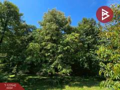 ขายที่ดินพร้อมสวน เนื้อที่ 4 ไร่ 3 งาน 69.4 ตร.วา ท่าใหม่ จันทบุรี-202510061129231759724963734.jpg