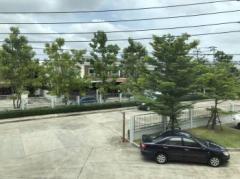 ให้เช่า ทาวน์โฮม M1385 วิลเลต ไลท์ พัฒนาการ 110 ตรม 17 ตรว-202510061201451759726905942.jpg