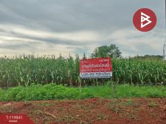 ขายที่ดินแปลงสวย เนื้อที่ 92 ไร่ 3 งาน 81.8 ตารางวา ทำเลดี ติดถนนเส้นหลัก วังทอง พิษณุโลก-202510061213371759727617023.jpg