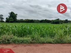 ขายที่ดินแปลงสวย เนื้อที่ 92 ไร่ 3 งาน 81.8 ตารางวา ทำเลดี ติดถนนเส้นหลัก วังทอง พิษณุโลก-202510061213371759727617561.jpg