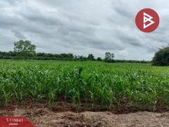 ขายที่ดินแปลงสวย เนื้อที่ 92 ไร่ 3 งาน 81.8 ตารางวา ทำเลดี ติดถนนเส้นหลัก วังทอง พิษณุโลก-202510061213381759727618613.jpg