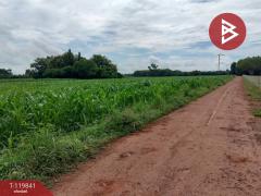 ขายที่ดินแปลงสวย เนื้อที่ 92 ไร่ 3 งาน 81.8 ตารางวา ทำเลดี ติดถนนเส้นหลัก วังทอง พิษณุโลก-202510061213401759727620348.jpg