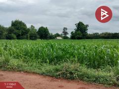 ขายที่ดินแปลงสวย เนื้อที่ 92 ไร่ 3 งาน 81.8 ตารางวา ทำเลดี ติดถนนเส้นหลัก วังทอง พิษณุโลก-202510061213401759727620869.jpg