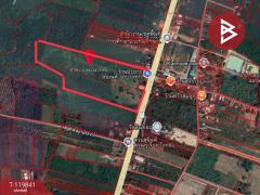 ขายที่ดินแปลงสวย เนื้อที่ 92 ไร่ 3 งาน 81.8 ตารางวา ทำเลดี ติดถนนเส้นหลัก วังทอง พิษณุโลก-202510061213421759727622985.jpg