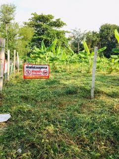 ให้เช่าที่ดิน 420ตร.วา ที่ดินถมแล้วพร้อมใข้ ติดถนนซอยพุทธบูชา 39 -202510061221511759728111642.jpg