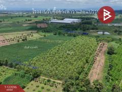 ขายที่ดิน เนื้อที่ 30 ไร่ 3 งาน 36 ตารางวา น้ำพี้ อุตรดิตถ์-202510061246201759729580634.jpg