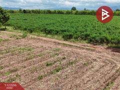 ขายที่ดิน เนื้อที่ 30 ไร่ 3 งาน 36 ตารางวา น้ำพี้ อุตรดิตถ์-202510061246221759729582781.jpg